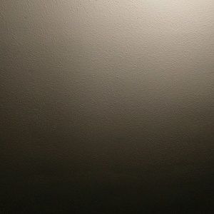 Meet your Posher, Gene